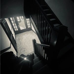 Meet your Posher, Darrin